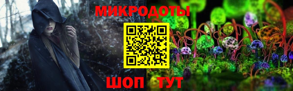 Галлюциногенные грибы Psilocybine cubensis Жуковский
