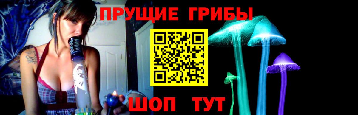 Жуковский  Псилоцибиновые грибы Cubensis  Псилоцибиновые грибы мухоморы  Вход с VPN 